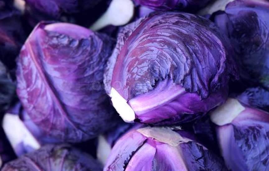 Салат з синьої капусти: 5 простих рецептів та ідеї