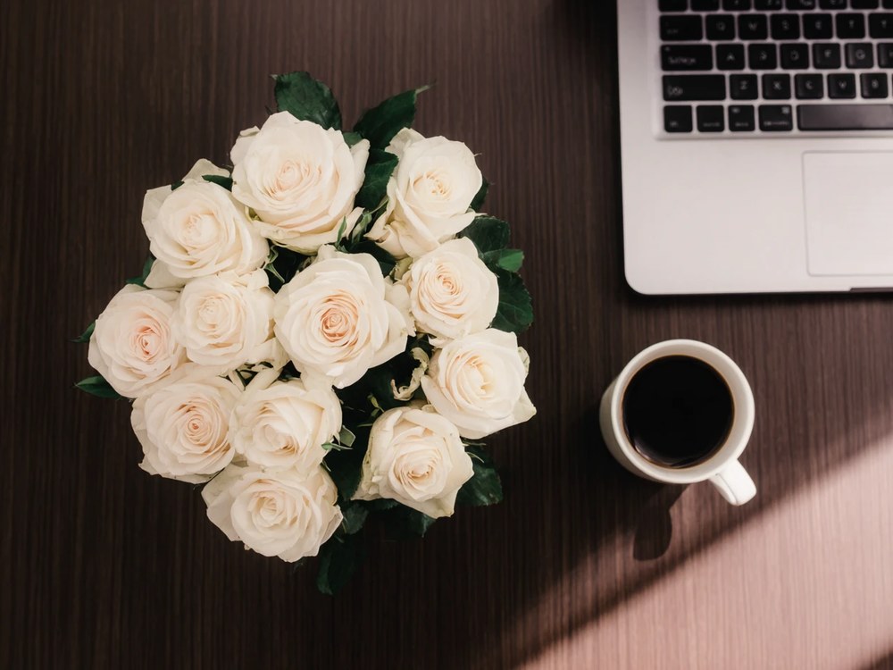 Кремовые розы: что означают, когда и сколько дарят