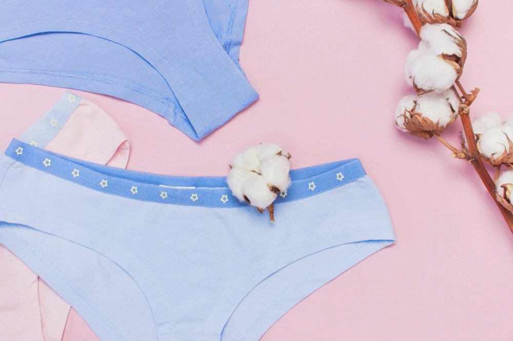 Виды женских трусиков и их особенности
